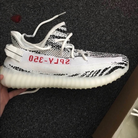 Yeezy Zebra 350 V2 - Picture 3 of 4